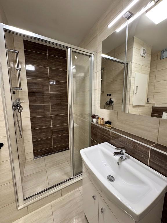 PRONÁJEM BYTU 1+1 S BALKÓNEM,  BRNO – KOHOUTOVICE - foto 16