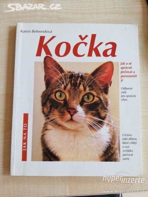 Kočka - kniha s radami začínajícím chovatelům. cena 69, - kč - foto 1