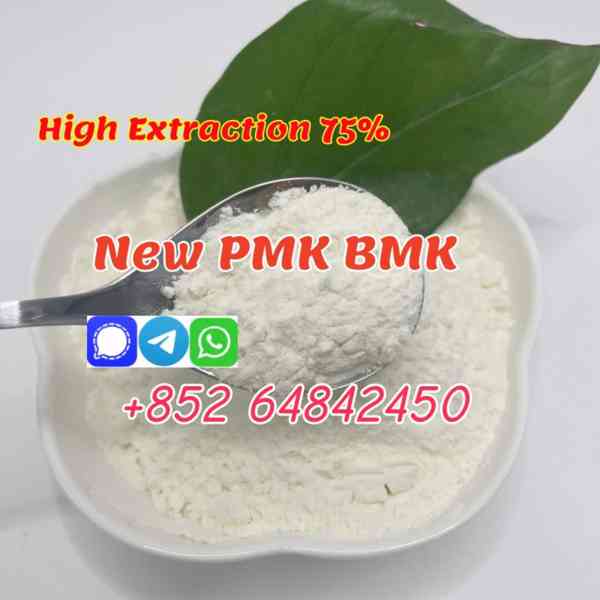 new bmk powder bmk oil ,  cas5449-12-7 BMK Glycidate powder - foto 3
