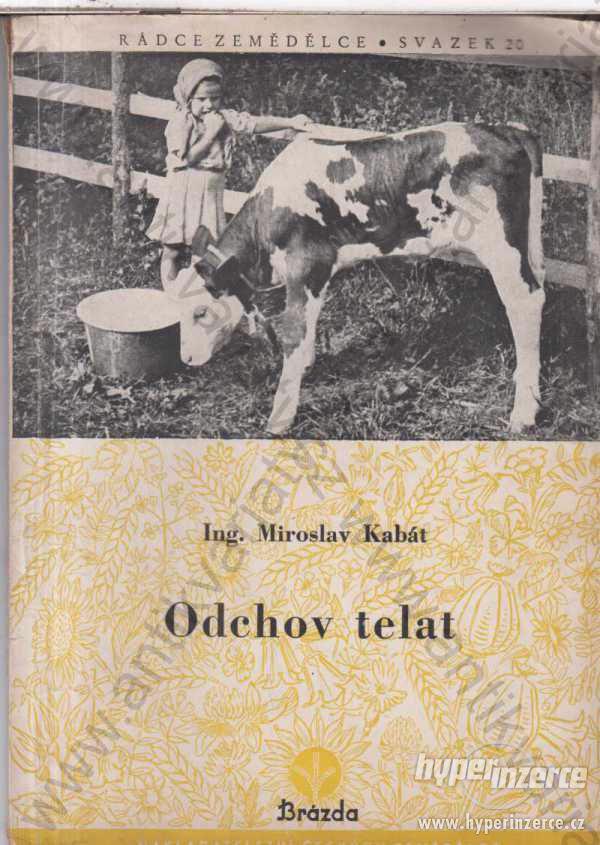 Odchov telat Miroslav Kabát 1950 Rádce zemědělce - foto 1