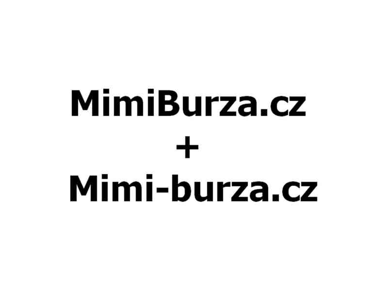 Mimiburza.cz + Mimi-burza.cz - foto 1