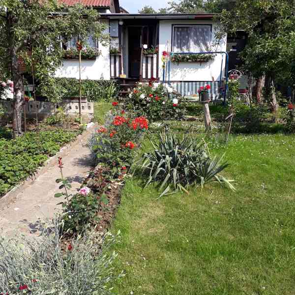 Danuše Pabelová - foto 3