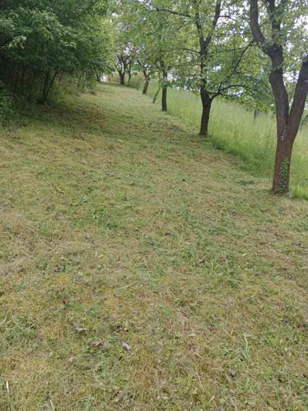 Prodej zahrady / sadu 1 872 m² – Soběchleby, okres Přerov - foto 12
