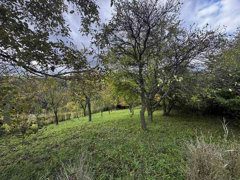Prodej zahrady / sadu 1 872 m² – Soběchleby, okres Přerov - foto 6