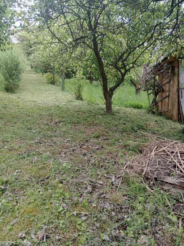 Prodej zahrady / sadu 1 872 m² – Soběchleby, okres Přerov - foto 8