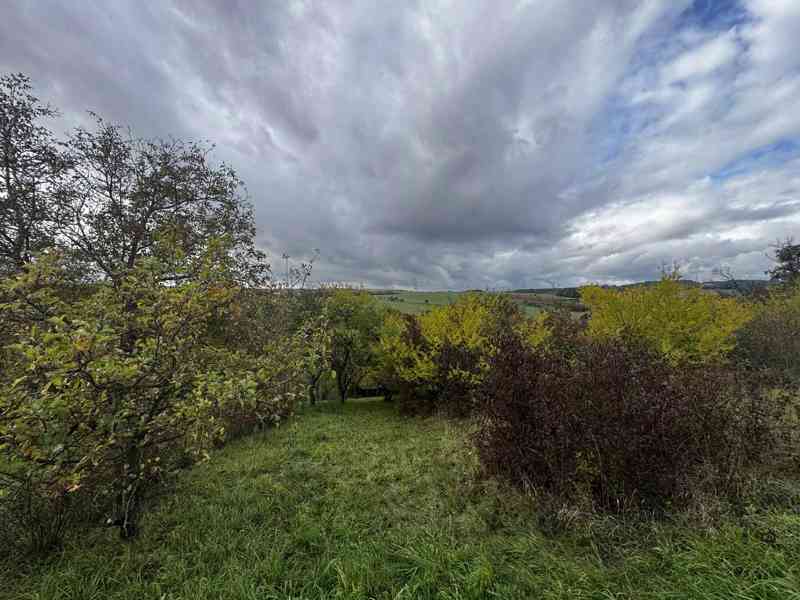 Prodej zahrady / sadu 1 872 m² – Soběchleby, okres Přerov - foto 3