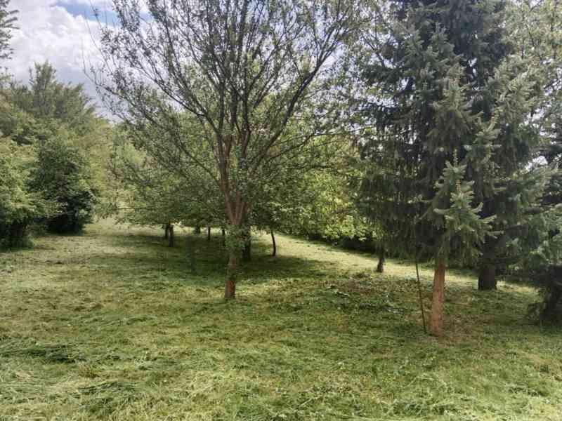 Prodej zahrady / sadu 1 872 m² – Soběchleby, okres Přerov - foto 10
