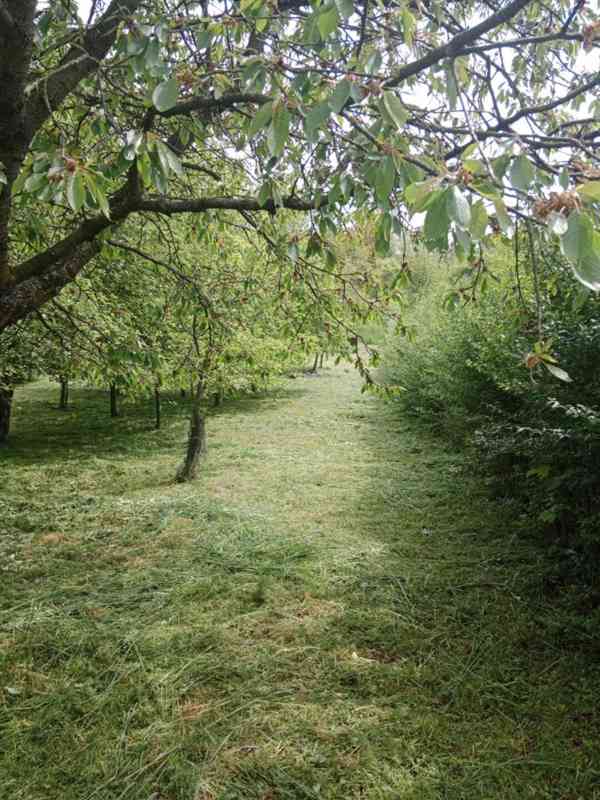 Prodej zahrady / sadu 1 872 m² – Soběchleby, okres Přerov - foto 11
