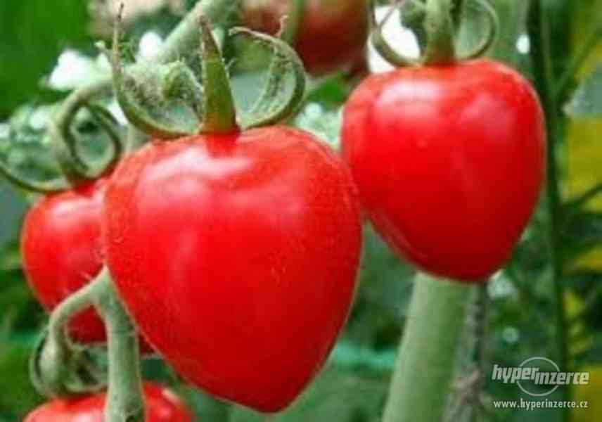 Rajče Tomato BerryF1 - semena - foto 1