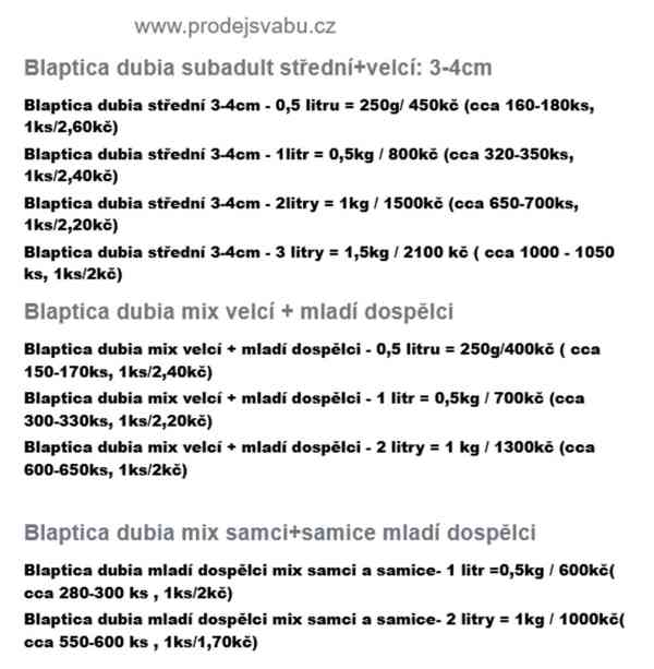 Švábi Blaptica dubia 3-4cm. Cena od 2 Kč - foto 2