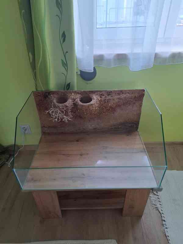 Skleněné Terárium / Želvárium se stolkem - foto 3