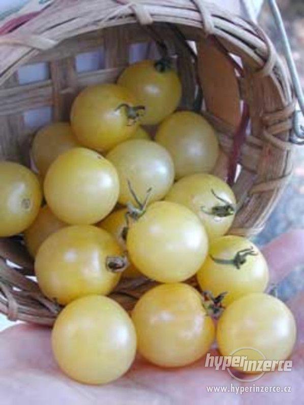 Rajče White Cherry - semena - bazar - Hyperinzerce.cz