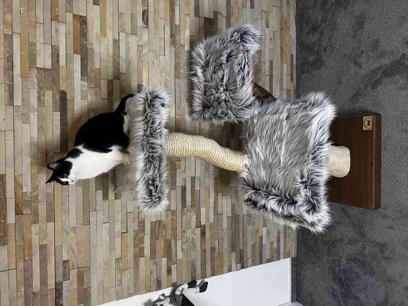 Škrabadlo pro kočky  - foto 3