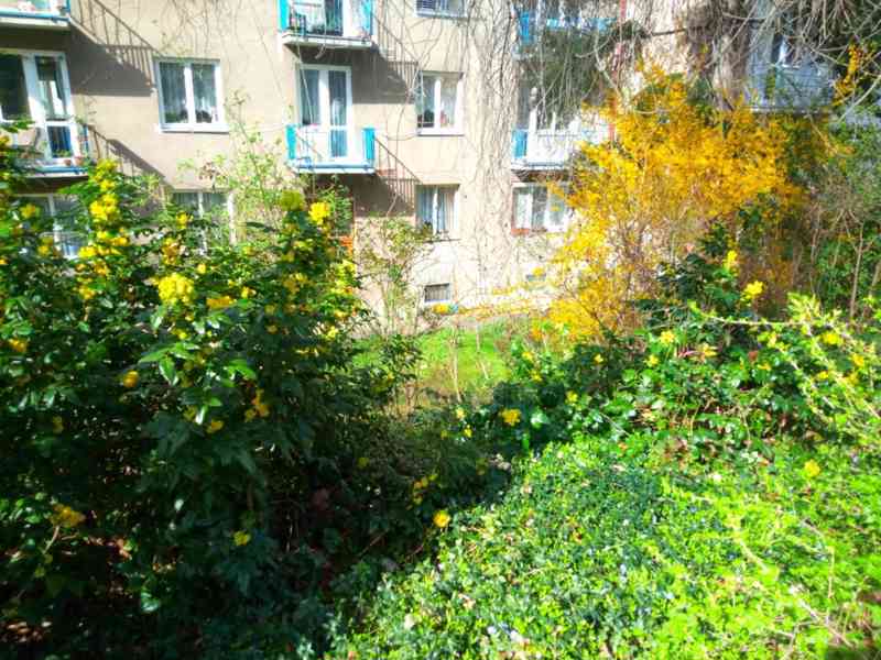Nezařízený byt na hezkém místě v Nuslích, u tramvaje - foto 6