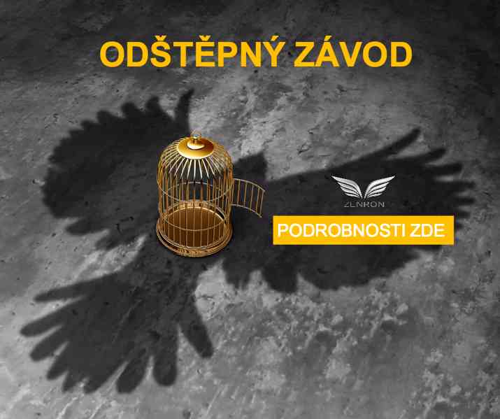 Zřízení Odštěpného závodu v ČR / pobočka zahraniční firmy - foto 1
