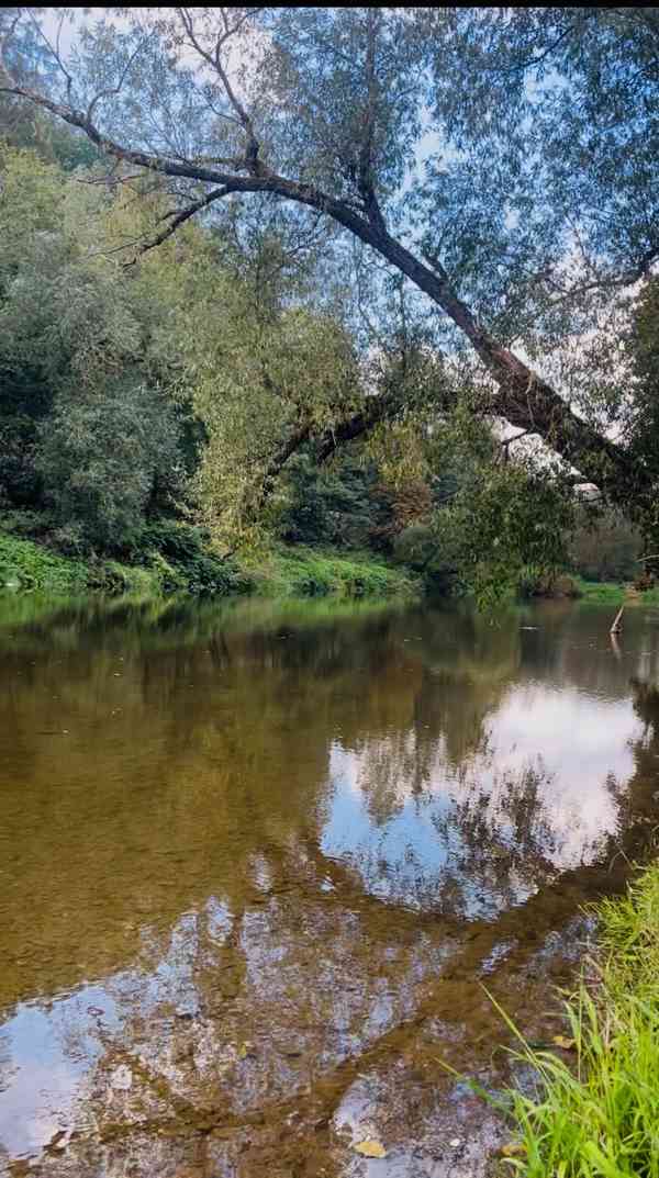 Prodej chalupy u řeky Sázava  - foto 17
