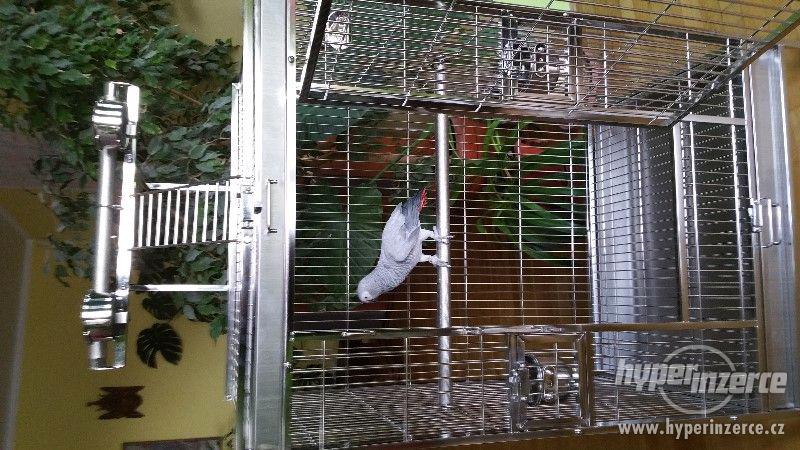 Nové nerezové klece pro papoušky různých rozměrů. - foto 1