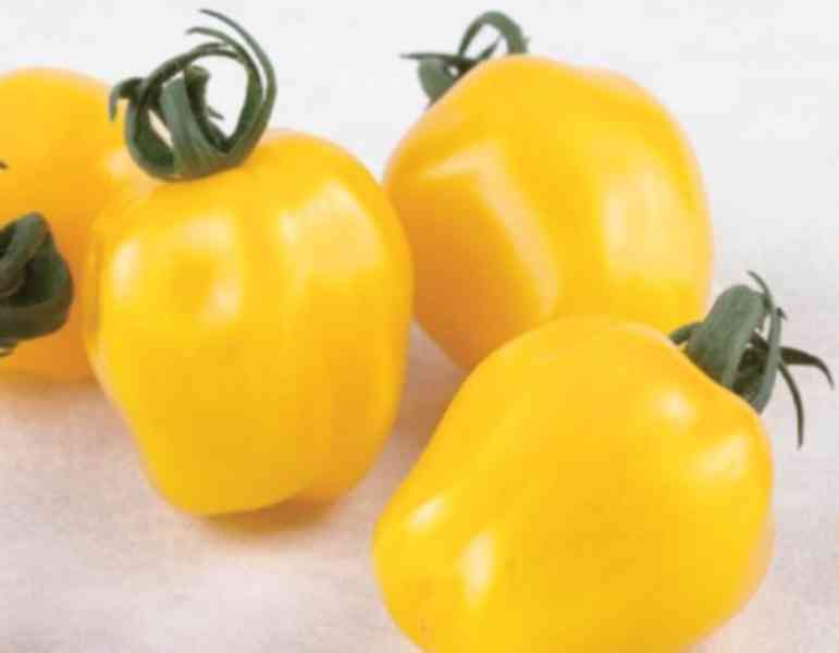 Rajče Appleberry F1 YELLOW - semena - foto 1