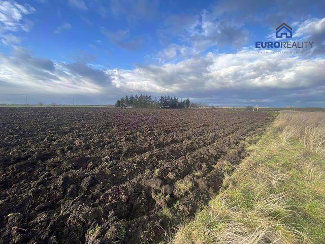 Prodej, stavební pozemek, 2002 m2, Kouty u Poděbrad - foto 7