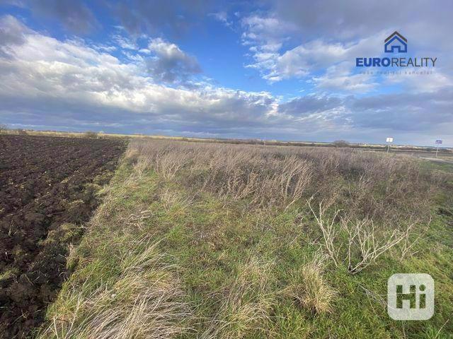 Prodej, stavební pozemek, 2002 m2, Kouty u Poděbrad - foto 9