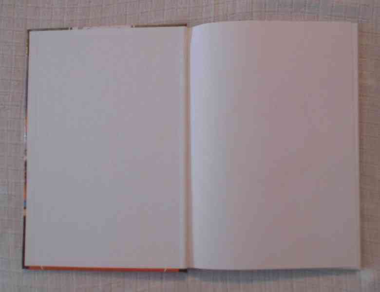 Jana Seifriedová - Tlapky hvězd 2 - 2021 - foto 2