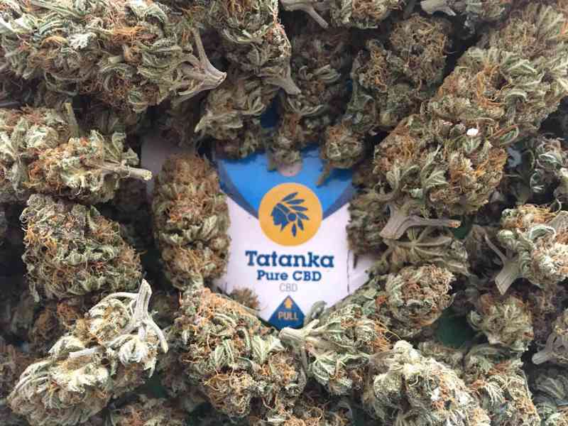 CBD květy konopí Tatanka Pure - foto 1