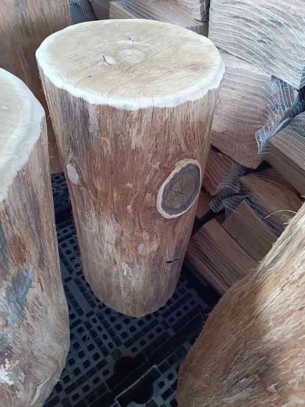 ŠPALEK dubový na štípání dřeva či jako dekorace - foto 2