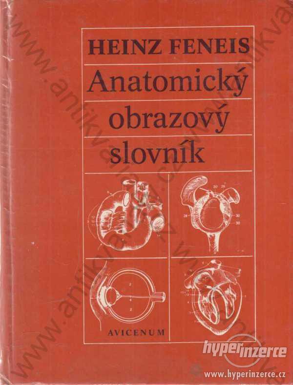 Anatomický obrazový slovník Heinz Feneis 1981 - foto 1