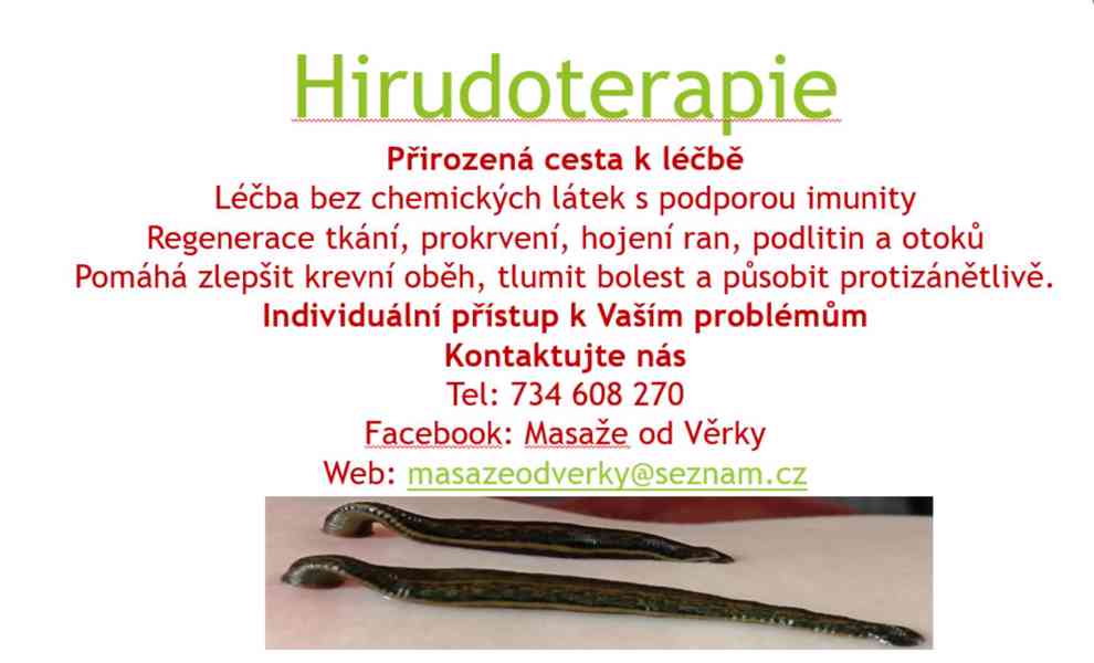 Hirudoterapie - foto 1