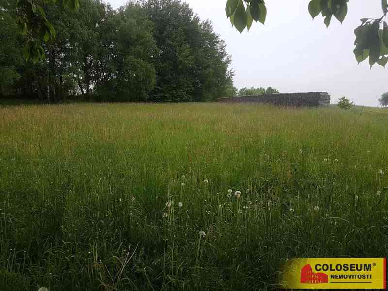 Kamenice - Řehořov - pozemek pro bydlení 5017 m2 - pozemek - foto 6