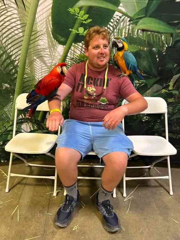 Zcela zdarma papoušci ara pro adopci zdarma - foto 3