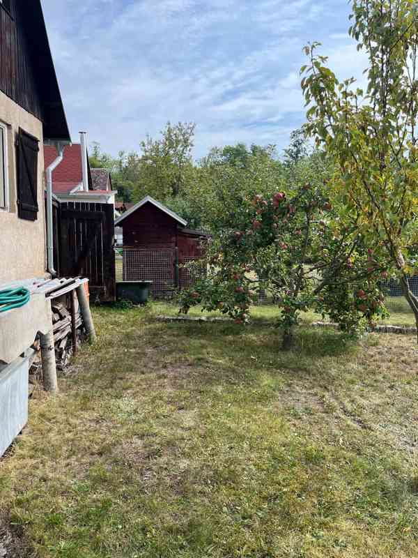 PRODÁM ZAHRADU - foto 11