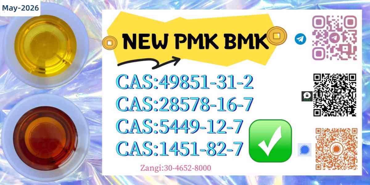 Combined with BMK CAS 5449-12-7 and PMK CAS 28578-16-7 - foto 5