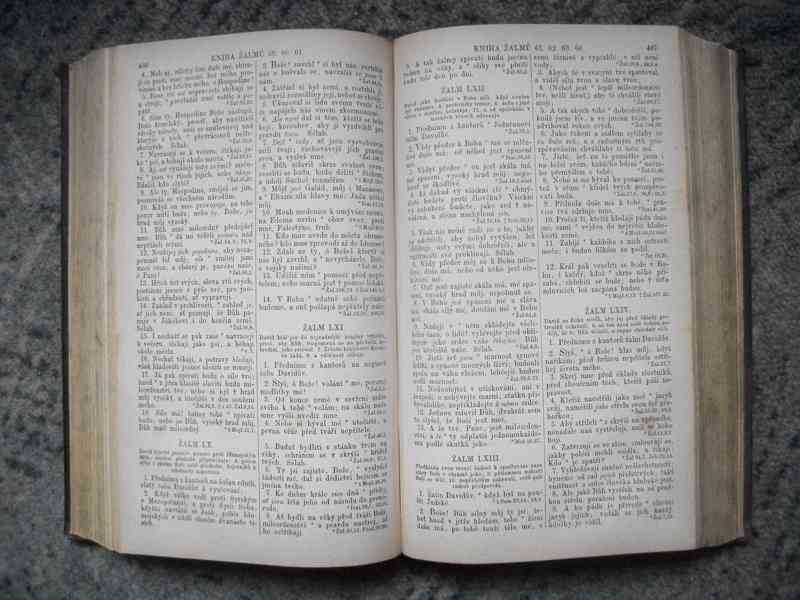 Bible 1887 - foto 3