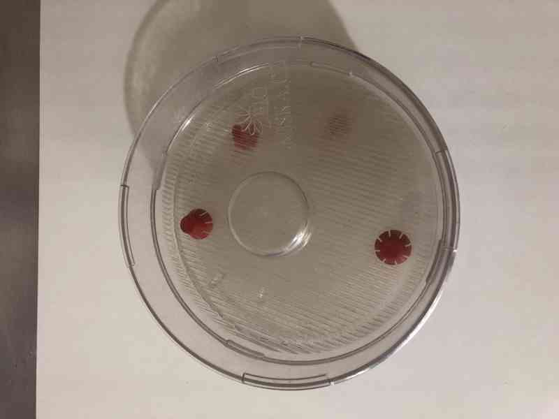 Miska na klíčení, klíčící biomiska, 3 patra - foto 2