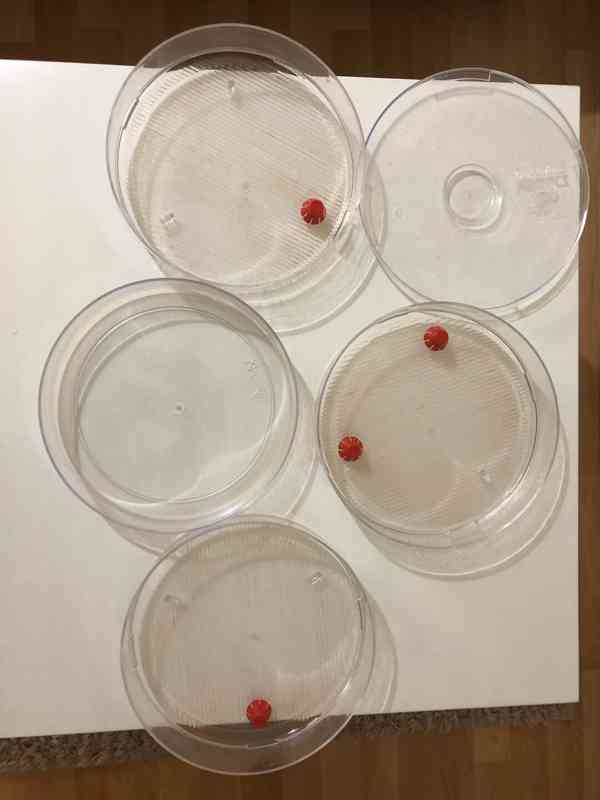 Miska na klíčení, klíčící biomiska, 3 patra - foto 3