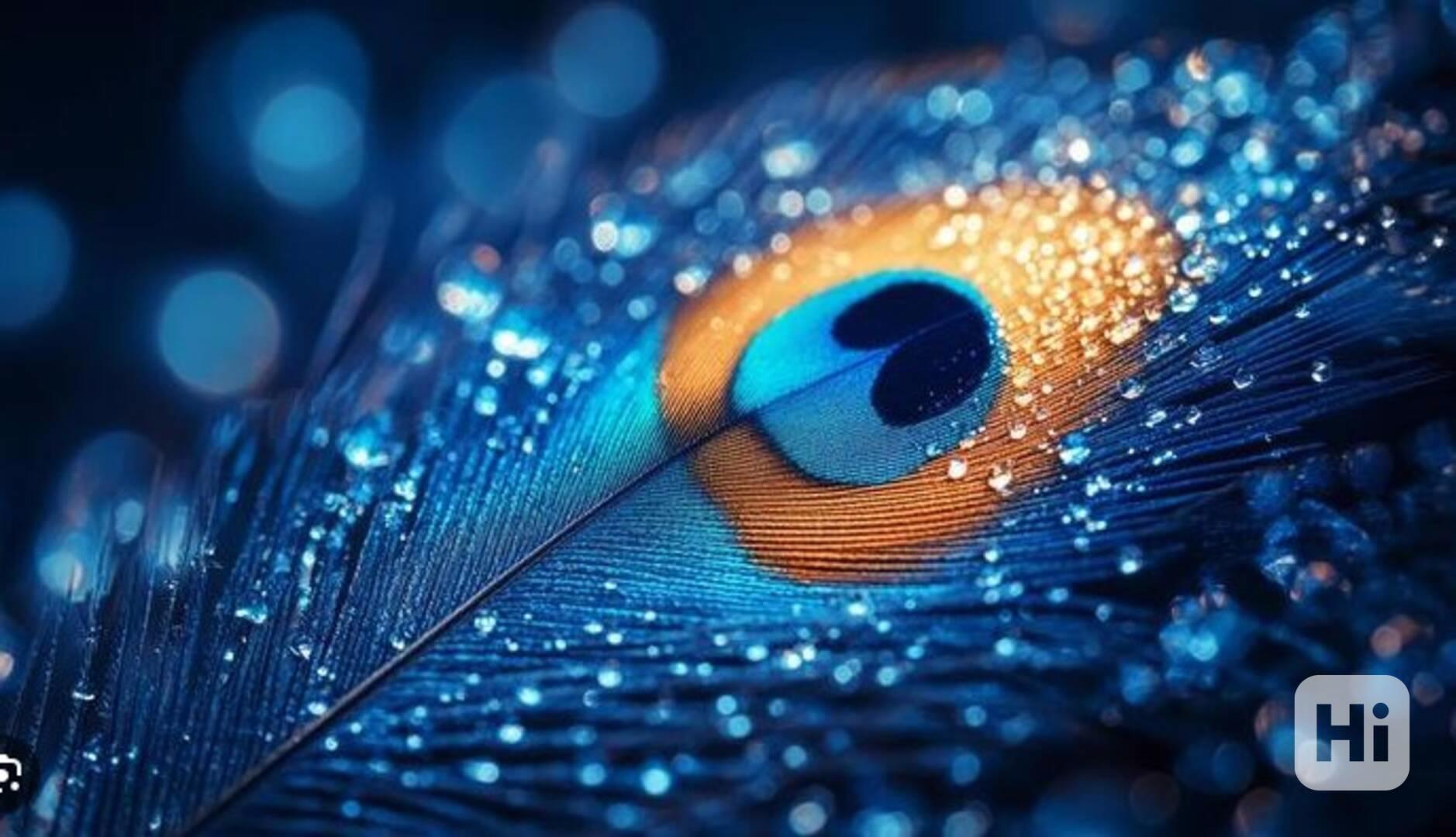 tytutuyuiyuiuy - foto 1