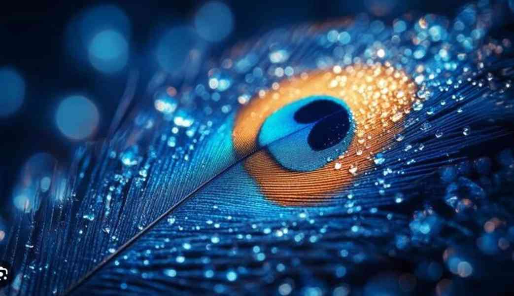 tytutuyuiyuiuy - foto 1