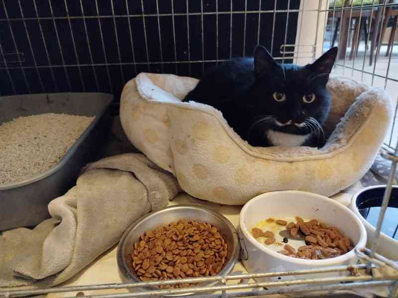 Poirot naruby - foto 3