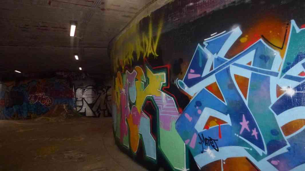 Hledám brigádu - hlídání zvířátek  - foto 4