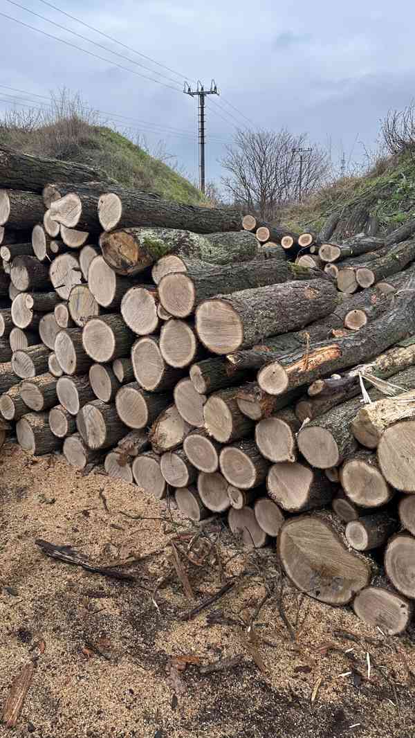 AKCE! Palivové dřevo tvrdé metry Poděbrady - foto 3