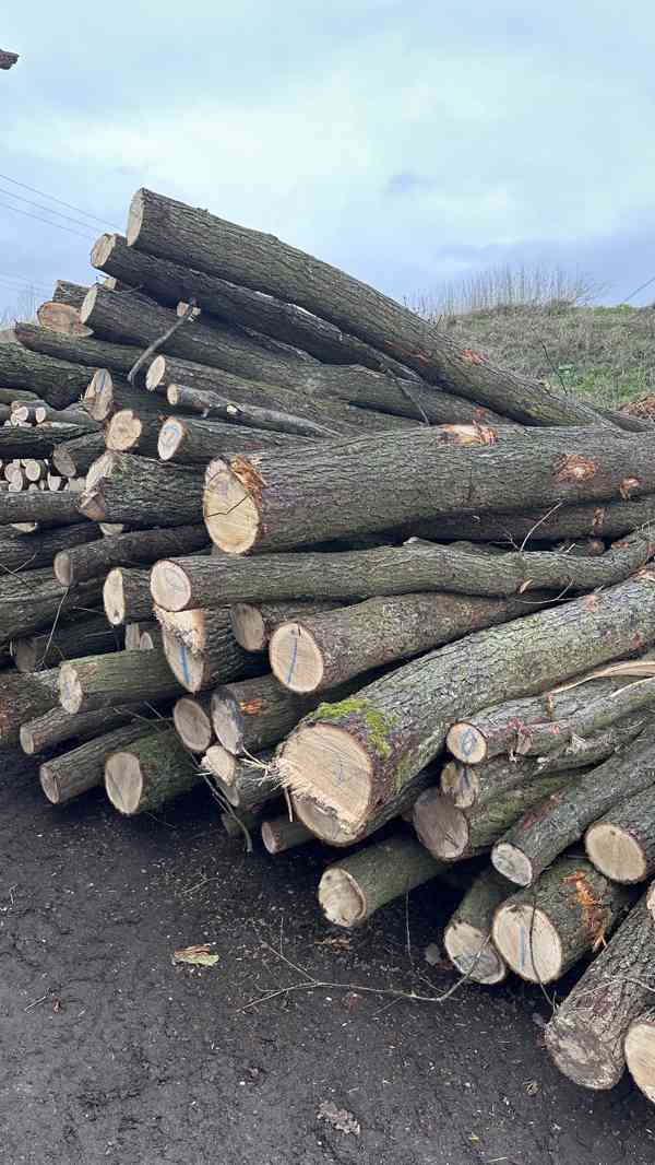 AKCE! Palivové dřevo tvrdé metry Poděbrady - foto 2