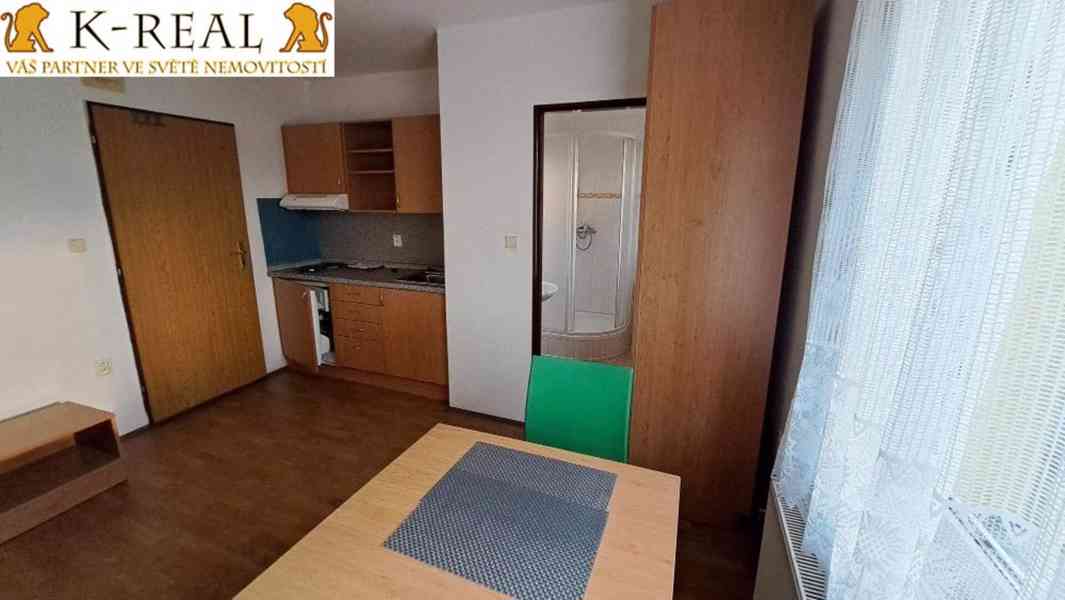 Pronájem byt 1+0 Březka u Velké Bíteše, Žďár N/S - foto 2