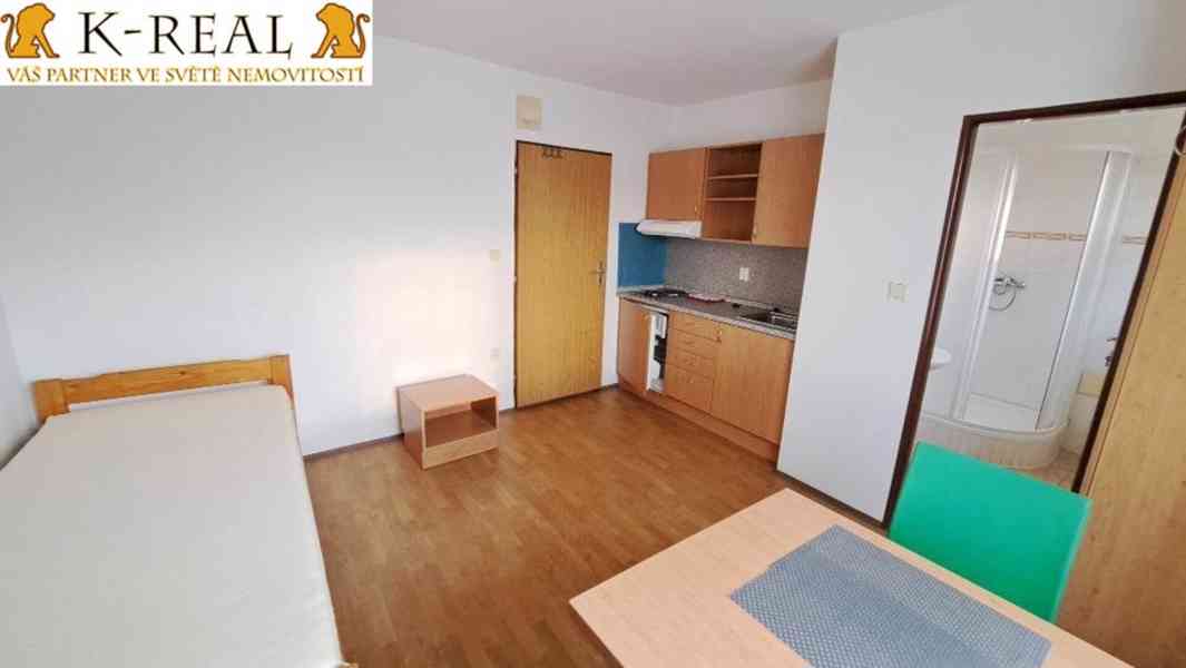 Pronájem byt 1+0 Březka u Velké Bíteše, Žďár N/S - foto 3