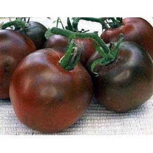 Semena chilli, rajčat a další zeleniny, velký výběr! - foto 1