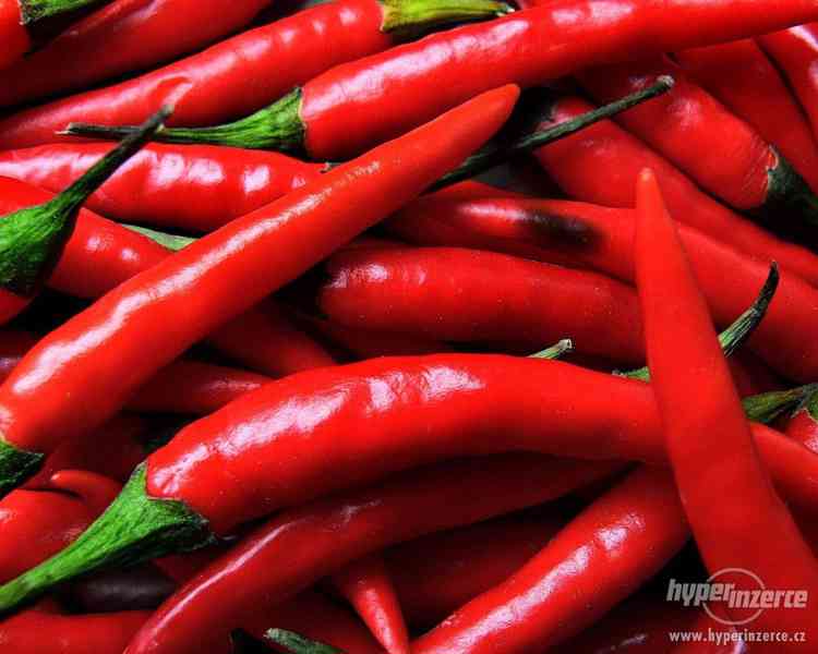 Semena chilli, rajčat a další zeleniny, velký výběr! - foto 8