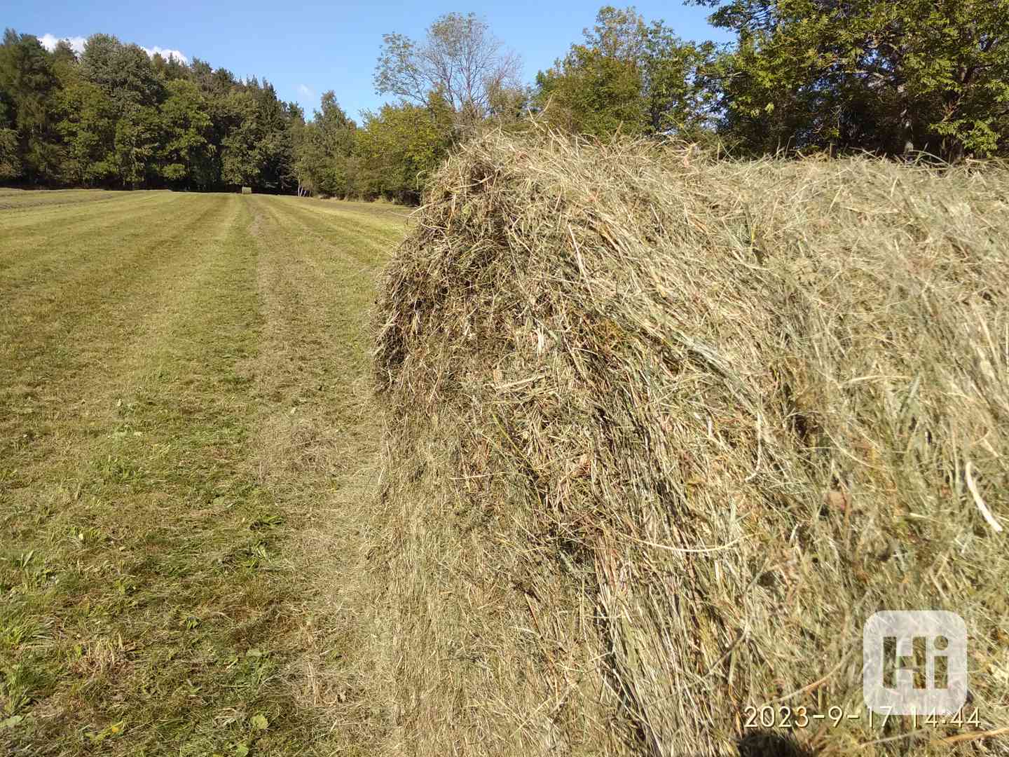 SENO, OTAVA, okr. Příbram - foto 1