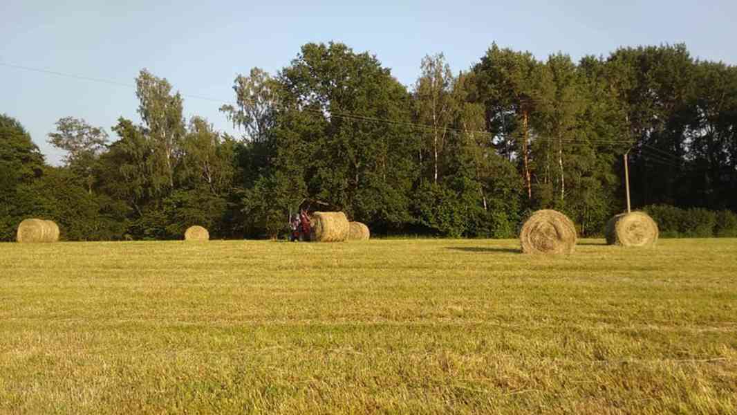 SENO, OTAVA, okr. Příbram - foto 6