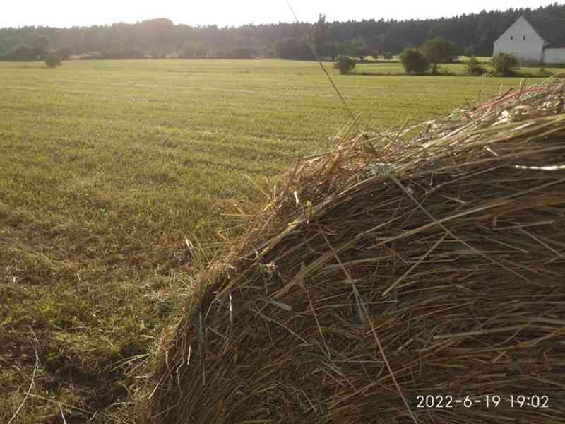 SENO, OTAVA, okr. Příbram - foto 4