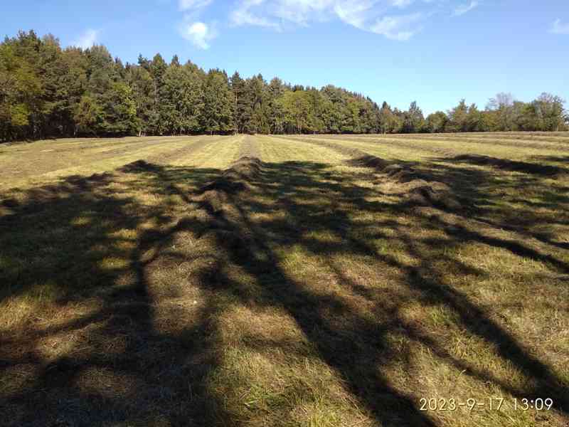 SENO, OTAVA, okr. Příbram - foto 3